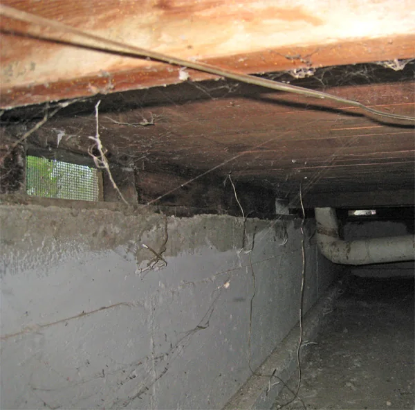 Crawlspace Water Removal in a Spokane home