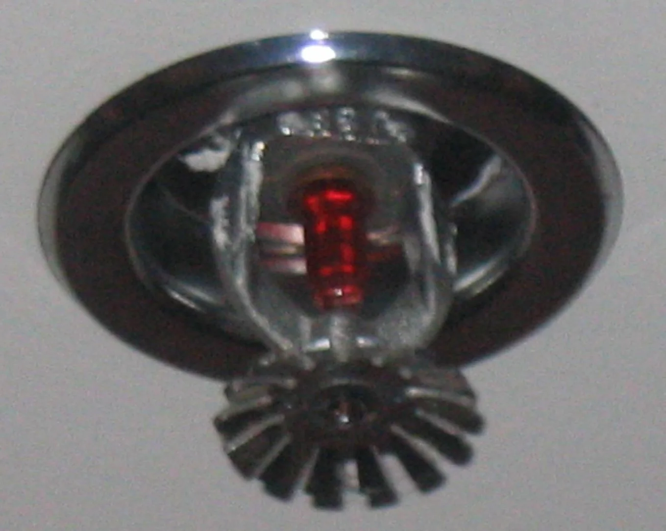 Fire Sprinkler Discharge in a Spokane home