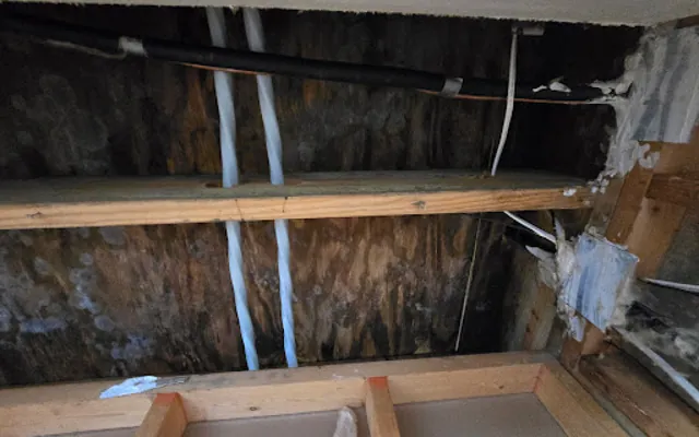 Attic Water Damage in a Spokane home