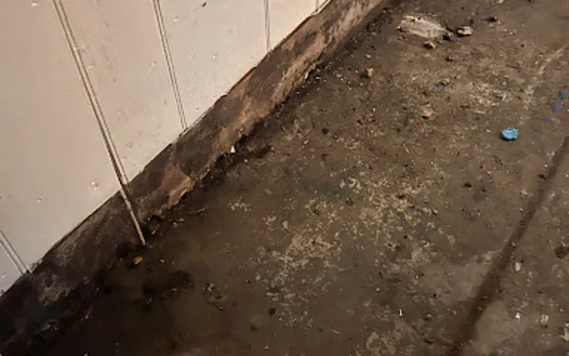 Drain Backup in a Spokane home