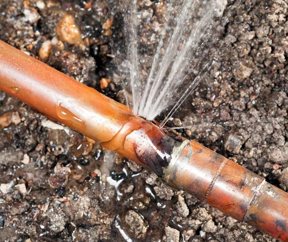 Professional Leak Detection